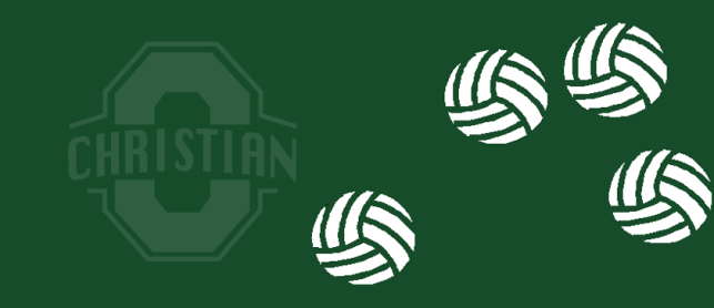 2015 OC Summer Co-Ed Adult Volleyball League